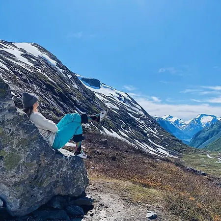 Vollsnes بيت ضيافة