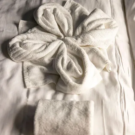 Vollsnes بيت ضيافة