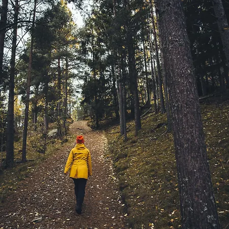 بيت ضيافة Vollsnes